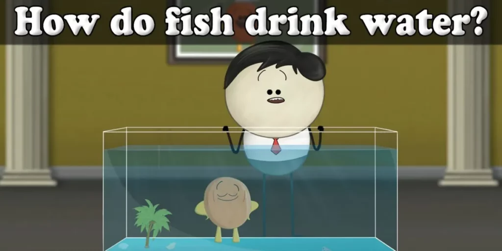 Do Fish Drink Water_