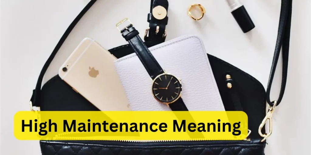 HIGHmaintenance meaning