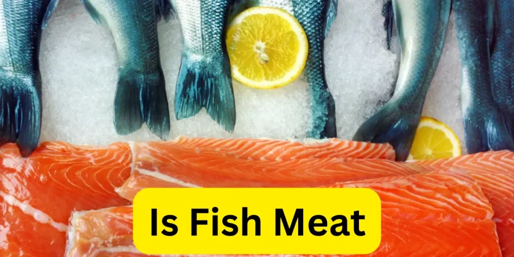 Is Fish Meat