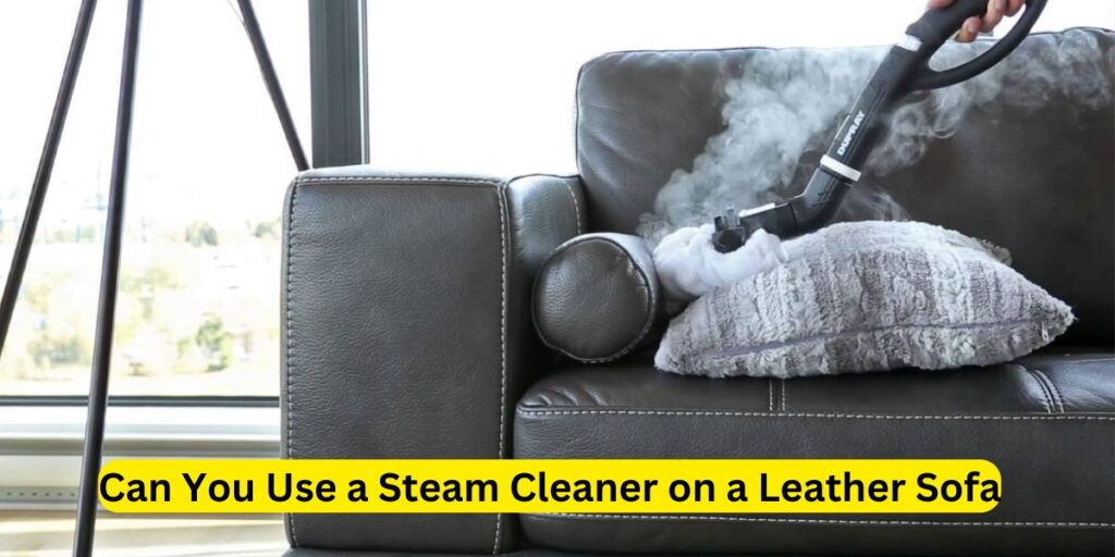 Can You Use a Steam Cleaner on a Leather Sofa