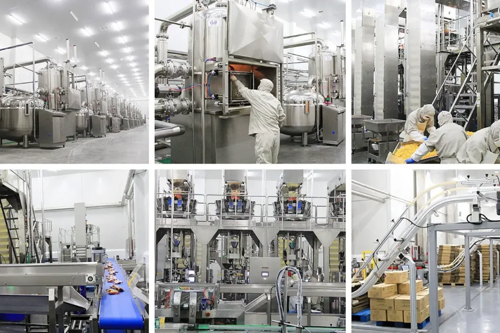 Vacuum Frying Machine